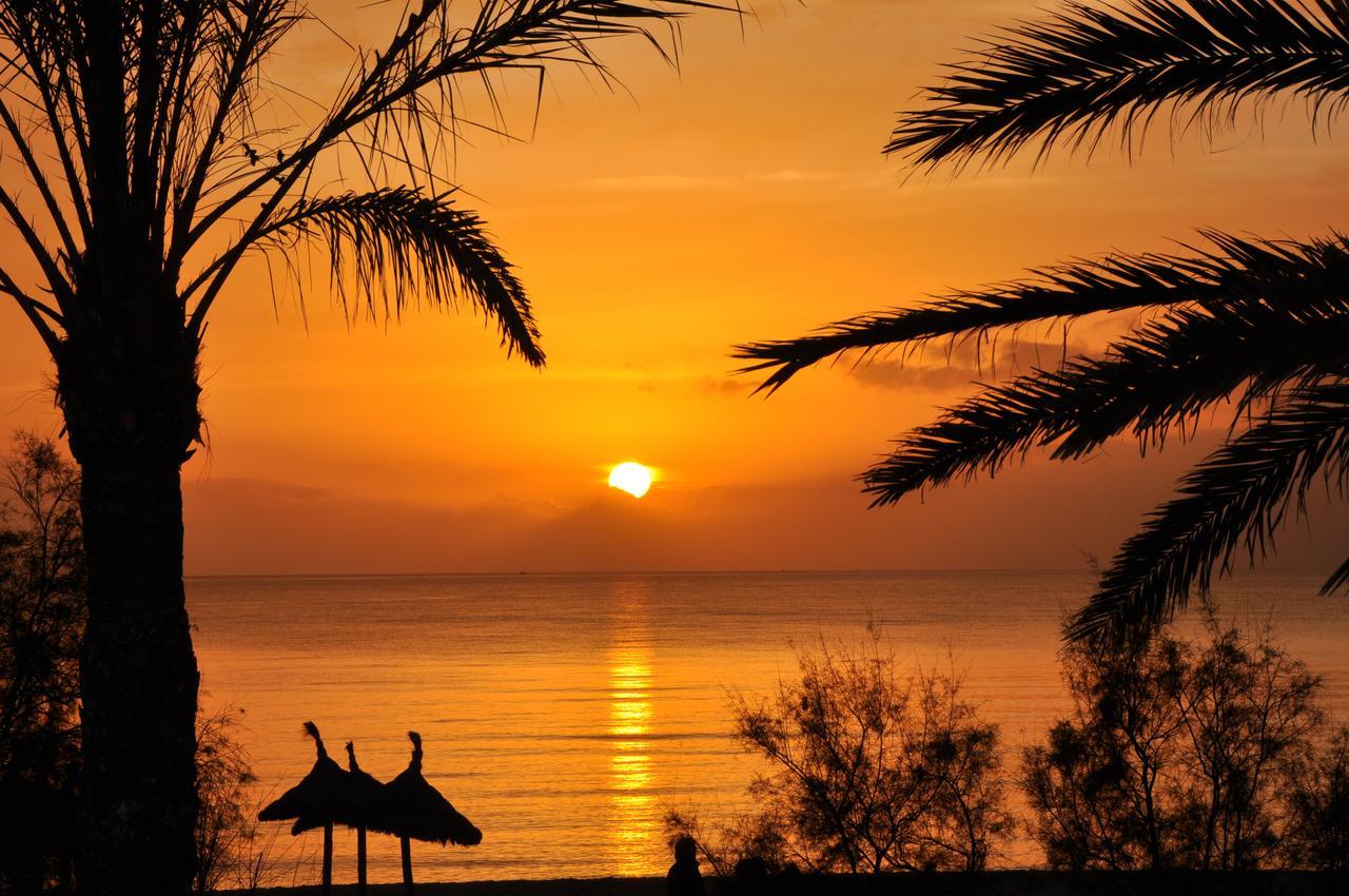 Houm Villa Plaza Arosa Palma de Mallorca Exteriör bild